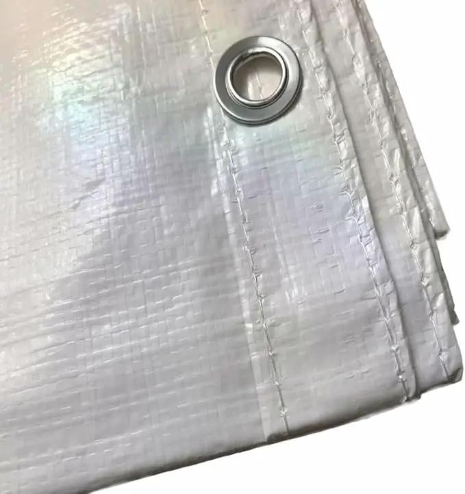 10' x 20' Economy Sidewall Kit for Canopy Tent, Complete Set of (2) White 10' and (2) 20' Side Walls for 7' Foot Height Party Frame and Outdoor Pole Tents, Tent Not Included by GreenHaven Gardens
