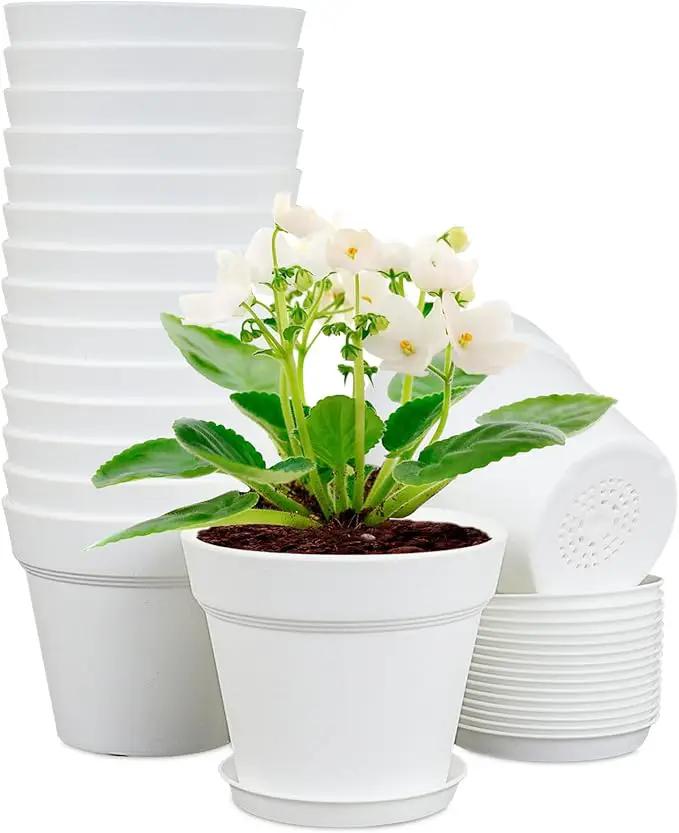 6 inch Small Plastic Nursery Pots, Seedling Pots, 16 Pack Plant Pots for Indoor Outdoor Plants, Flower Pots with Drainage Holes and Saucers, Decorative Planters for House Plants, White by GreenHaven Gardens