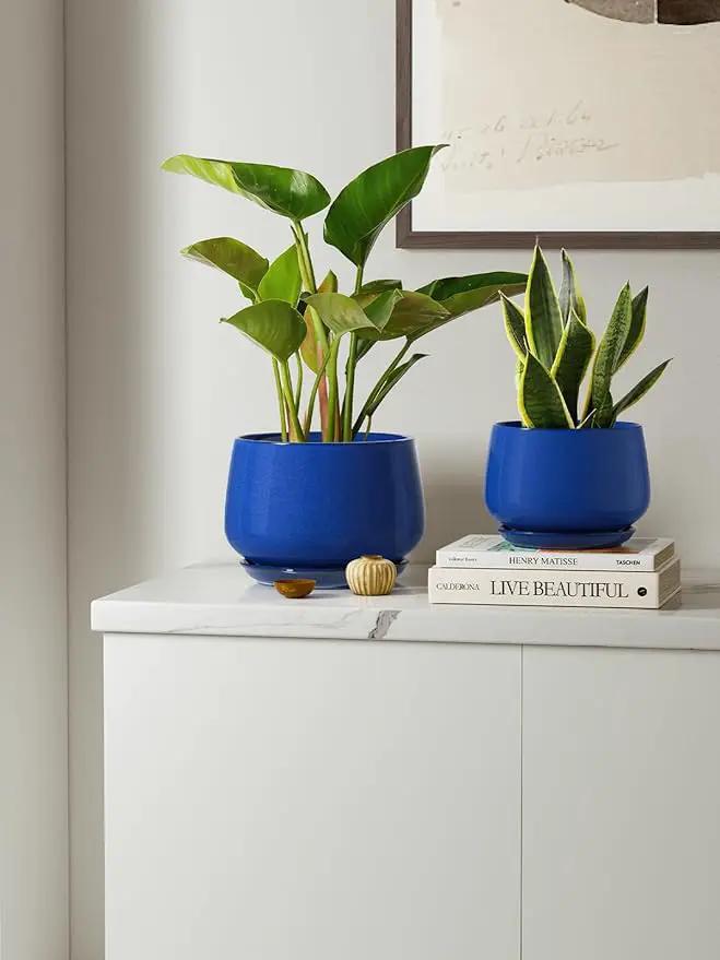 LE TAUCI Plant Pots, 4.1+5.1+6.5 inch, Set of 3, Ceramic Planters with Drainage Hole and Saucer, Indoor Flower Pot with Hole Mesh Pad, Gifts for Mom, Sapphire Blue by GreenHaven Gardens