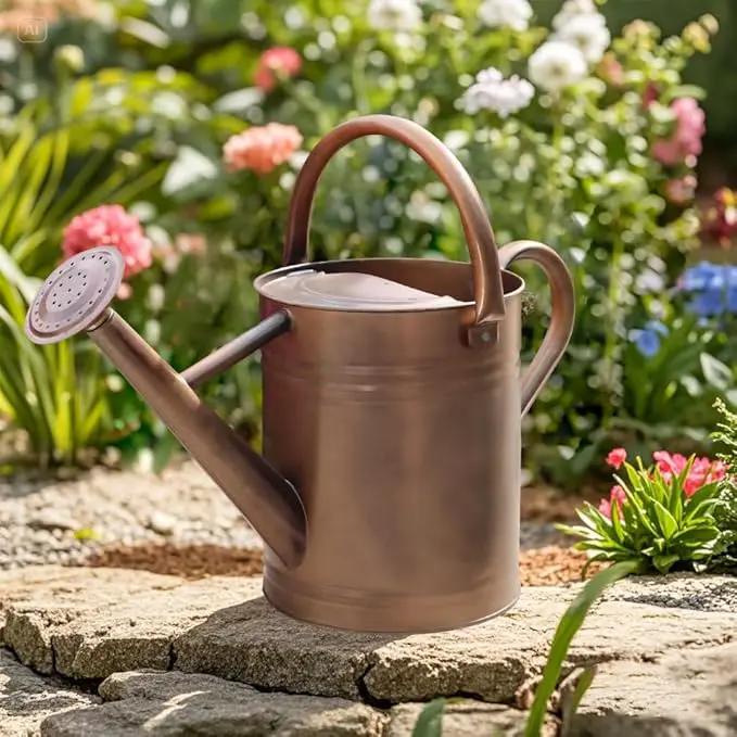 Galvanized Metal Watering Can, One Gallon Watering Cans for Outdoor Indoor Garden Plants Watering with Luminous Panit by GreenHaven Gardens