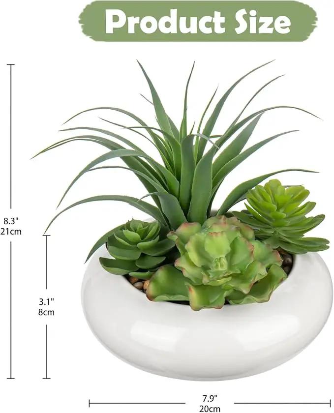 Large Artificial Succulents Plants Faux Succulents in Pots Fake Succulent Arrangement Potted Plants with White Ceramic Pot for Office Desk Bathroom Shelf Living Room Indoor & Outdoor Home Decor by GreenHaven Gardens