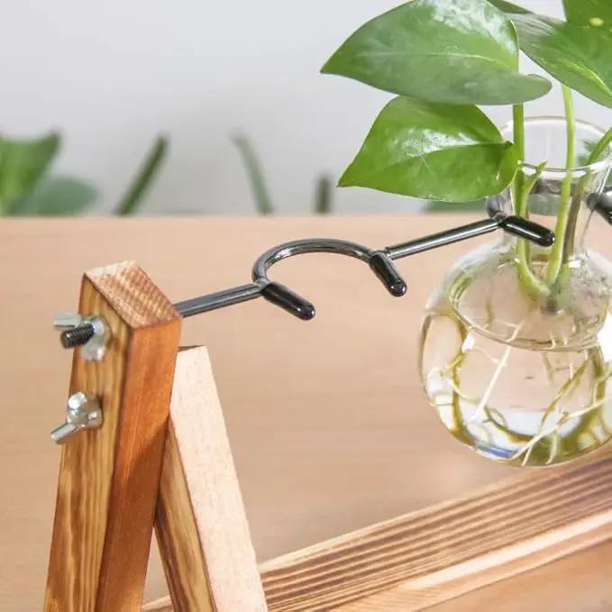 Ivolador I Plant Propagation Station, Bulb Plant Terrarium with Wooden Stand, Unique Gardening Gifts for Women, Hydroponic Indoor Planter, Home Office Garden Wedding Decor - 3 Bulb Glass Vases by GreenHaven Gardens