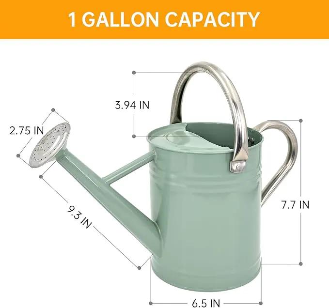 Metal Watering Can for Outdoor Plants, Galvanized Steel Watering Can with Removable spout, 1 Gallon,Perfect Home & Garden Décor Cream Green by GreenHaven Gardens