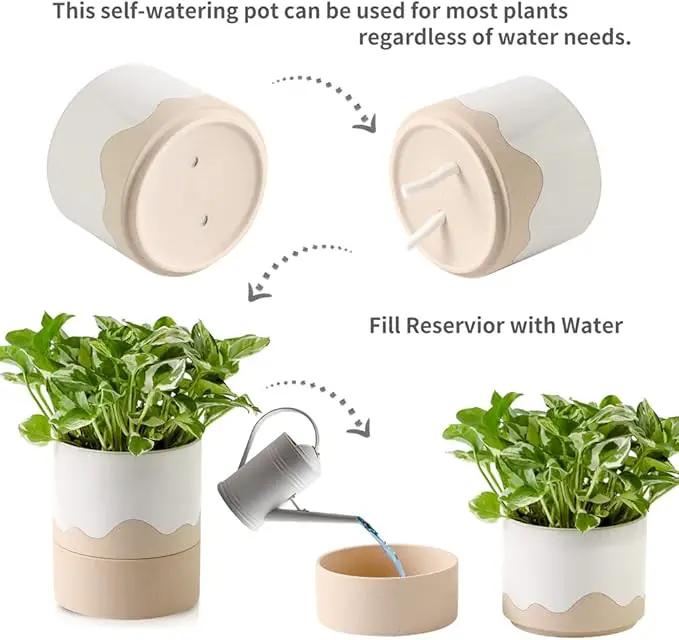 Nihow Self Watering Plant Pot: 6 Inch Ceramic Planter with Drainage Hole & Water Storage Plus for Indoor & Outdoor Plants - Cylinder Round Flower Pot for Succulent/Herbs/Violets - White & Nature by GreenHaven Gardens