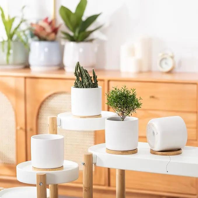 OMAYKEY 4 Inch Ceramic Plant Pot with Saucer, White Planters Pots with Drainage Hole and Mesh Pads for Succulent, Snake, Cactus, Herbs - 4 Packs(Plant Not Included) by GreenHaven Gardens