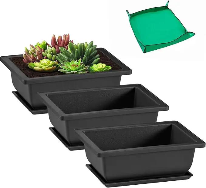 GROWNEER Bonsai Training Pots with Drainage Trays 3 Packs 6.5 Inch, Durable Bonsai Tree Starter Set Kits with Repotting Mat Small Indoor Outdoor Growing Pot Rectangle Planter, Built in Mesh by GreenHaven Gardens