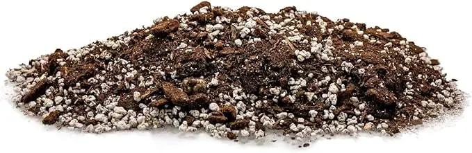 Palm Tree Potting Mix - The Ultimate Soil for Strong and Healthy Palms - Top Choice for Palm Tree Growers [3 Quart Bag] by GreenHaven Gardens