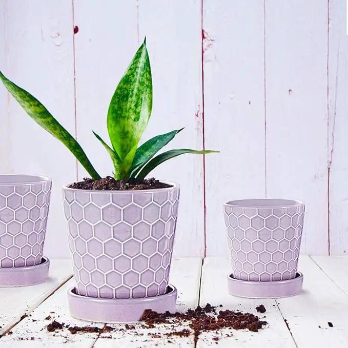 EFISPSS Flower Planter –5 inch Ceramic Plant Pots with Drainage Holes and Ceramic Tray - Gardening Home Desktop Office Windowsill Decoration Gift Set of 4 - Purple by GreenHaven Gardens