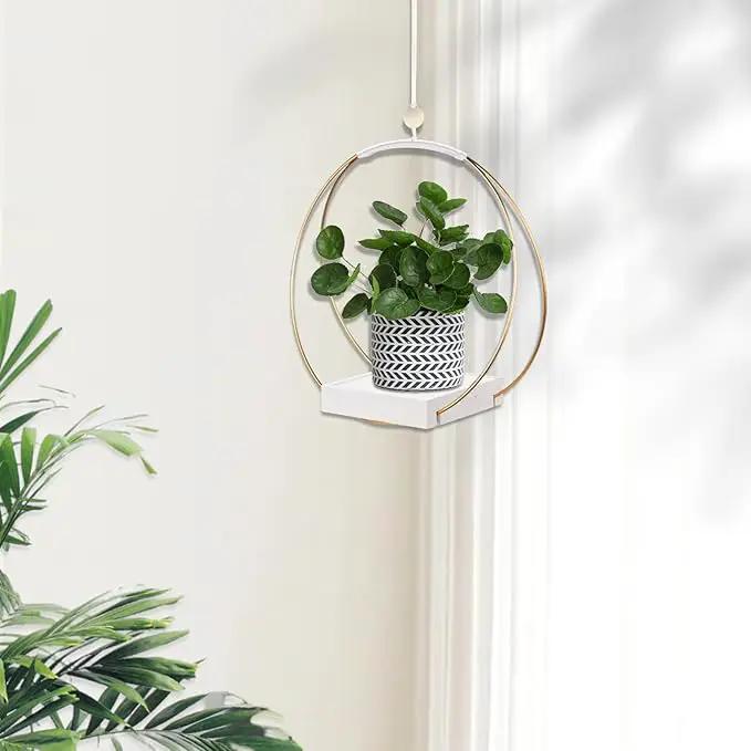 Hanging Planters for Indoor Plants, Plant Hanger with Sturdy Wood Base,Modern Boho Macrame Plant Hanger,Wall Ceiling Window Stands(Plants/Pots Not Included) by GreenHaven Gardens