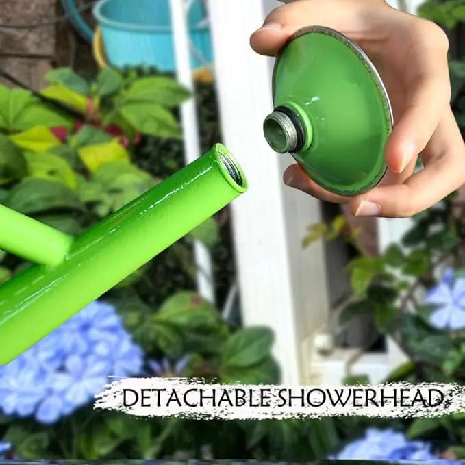 Metal Watering Can, One Gallon Watering Cans Stainless Steel for Outdoor Indoor Garden Plants Watering (Stainless Steel Handle Green) by GreenHaven Gardens