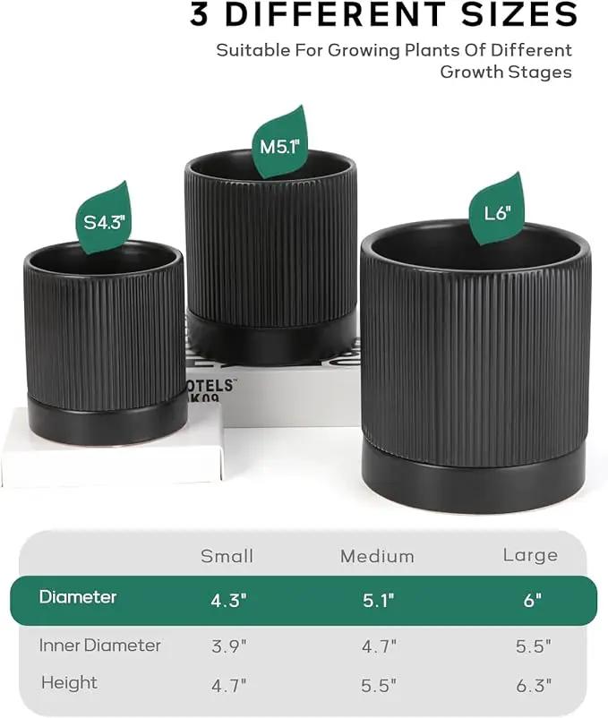 LaDoVita 3 Pack Ceramic Plant Pots 6/5/4 inch, Flowerpot for Indoor Plants with Drainage Holes and Tray, Outdoor Garden Planters, Modern Decorative for Home, Black Vertical Stripes by GreenHaven Gardens
