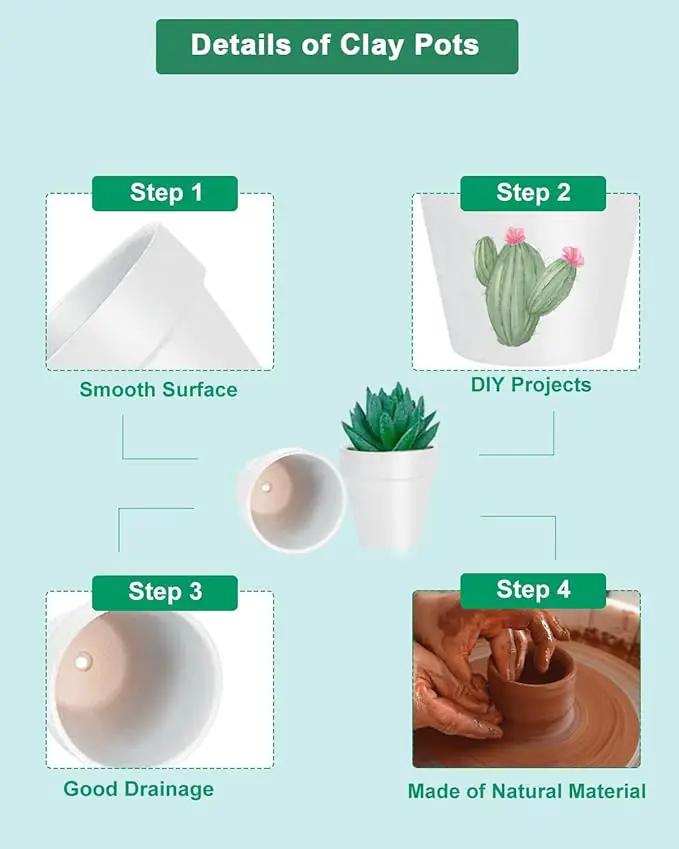 vensovo 48 Pcs 2" Tiny Terracotta & Terra Cotta Pots with Drainage - White Small Mini Clay Ceramic Pottery Planter Ideal for Indoor/Outdoor Plants, Crafts, Wedding Favors by GreenHaven Gardens