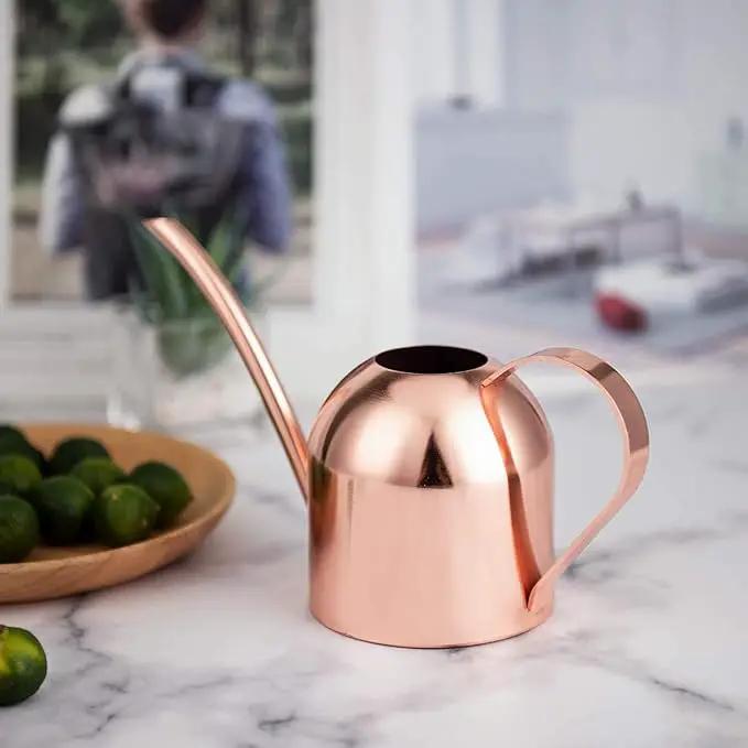 IMEEA Small Watering Can for Indoor Plants Stainless Steel Indoor Watering Can with Long Spout, 15oz/450ml by GreenHaven Gardens
