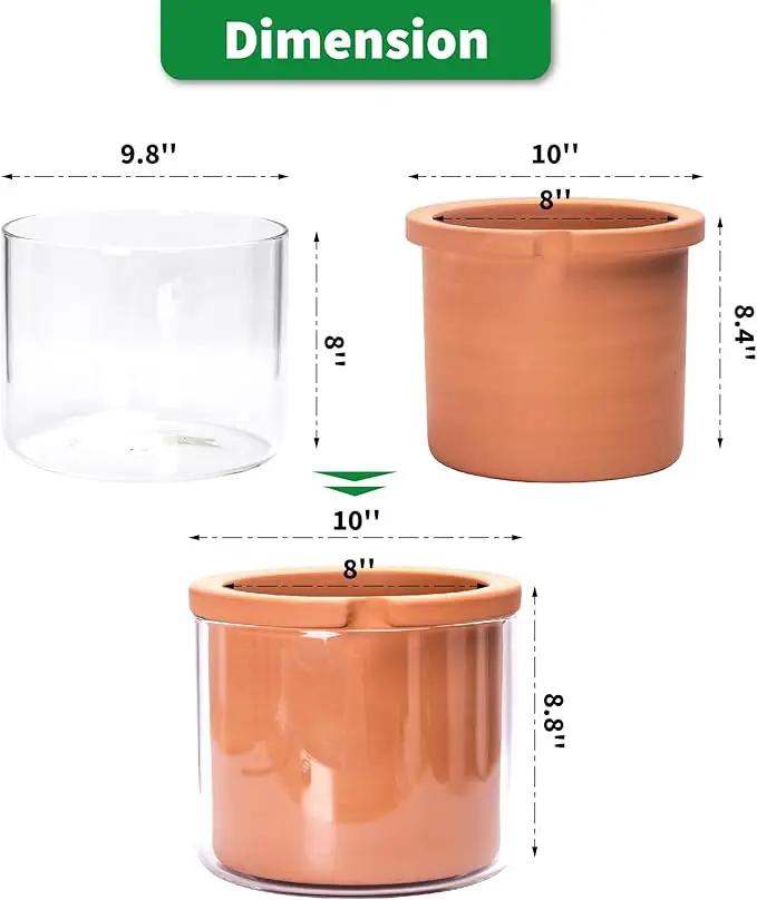 Phoenix Vine 8 Inch Self Watering Planter Pots, Design White Terracotta Pots for Plants, Indoor Cylinder Terra Cotta Pots with Glass Vase, Set of 1, 51-A-H-1 by GreenHaven Gardens