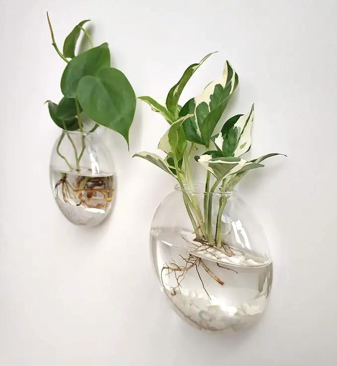 Mkono Wall Hanging Planter Propagation Station Glass Flower Vase for Hydroponics Plants, Bathroom, Home Office Living Room Decor Gift, Oblate Set of 3 by GreenHaven Gardens