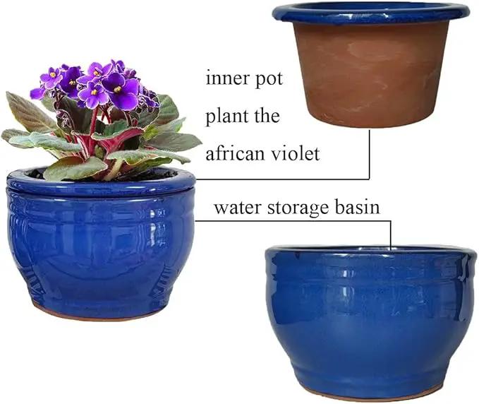 African Violet Pots Self Watering Round Ceramic Violet Pot (Blue, 6 inch) by GreenHaven Gardens