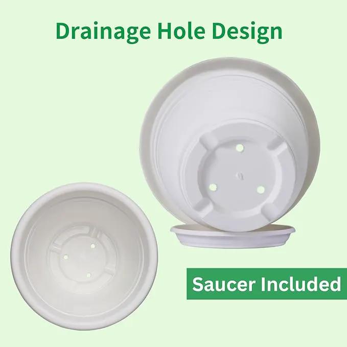 5 Packs 10 inch Plant Pots + Saucer, Planters for Indoor & Outdoor Plants with Drainage Holes | Plastic Flower Pots, Large Planter (Light Green, 10 inch) by GreenHaven Gardens