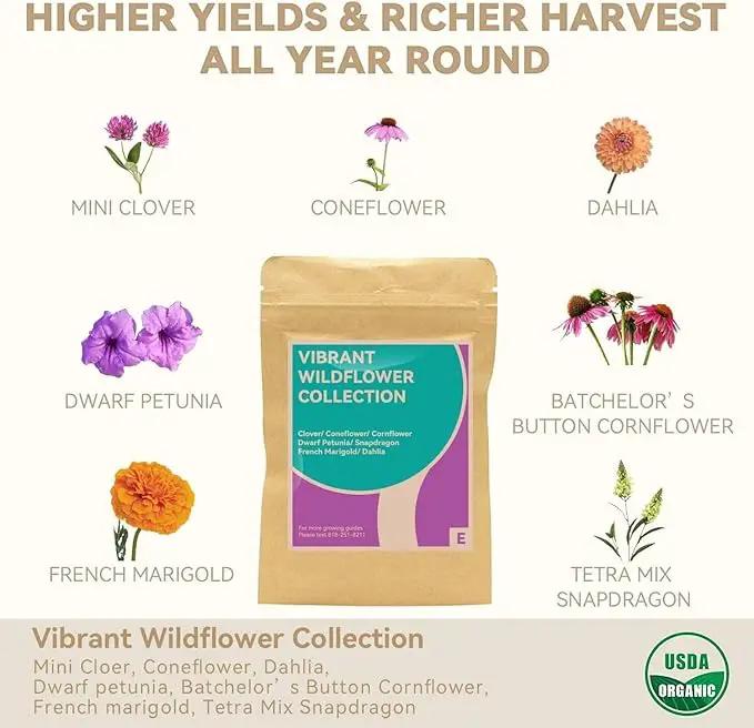 inbloom Flower Seed Pod Kit for AeroGarden, iDoo, Ahopegarden, GARDENCUBE, MUFGA Hydroponics, 7 Pods (350+ Seeds with Coneflower, Petunia, Snapdragon, French Marigold, Dahlia) by GreenHaven Gardens