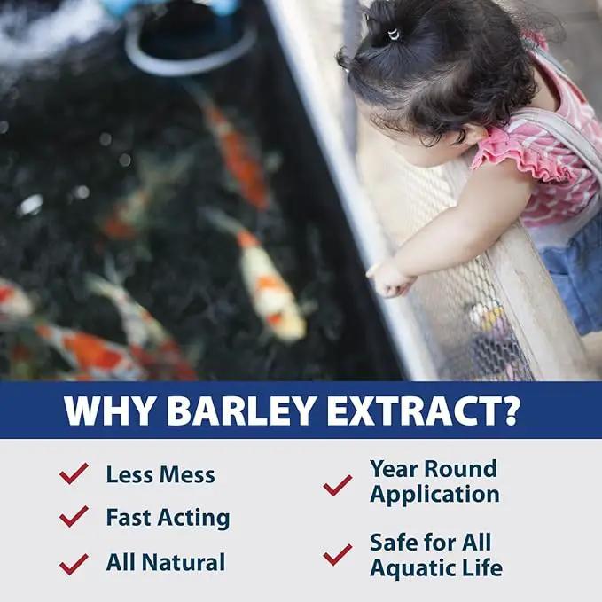 The Pond Guy Barley Extract Natural Liquid Treatment for Ponds and Water Gardens, Safe for Koi Fish and Plants, Natural Solutions for Clear Pond Water - 1 Gallon by GreenHaven Gardens