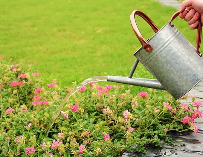 Metal Watering Can, One Gallon Watering Cans Stainless Steel for Outdoor Indoor Garden Plants Watering (Zinc 1 Gallon) by GreenHaven Gardens