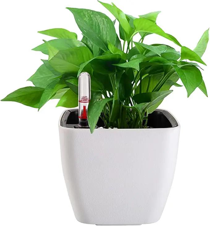 yarlung 6 Pack Self Watering Planter with Water Level Indicator, 5 Inch Plastic Plant Flower Pots Nested Container for Indoor Plants, Herbs, Aloe, Outdoor Gardening by GreenHaven Gardens