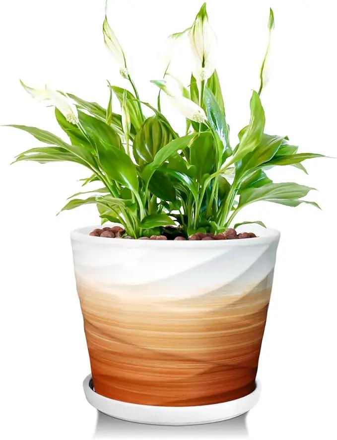 8 Inch Plant Pot, Ceramic Planter with Drainage and Saucer, Ceramic Pots for Plants, Indoor Plant pots, Flower pots，Modern Planter(Khaki + White) by GreenHaven Gardens