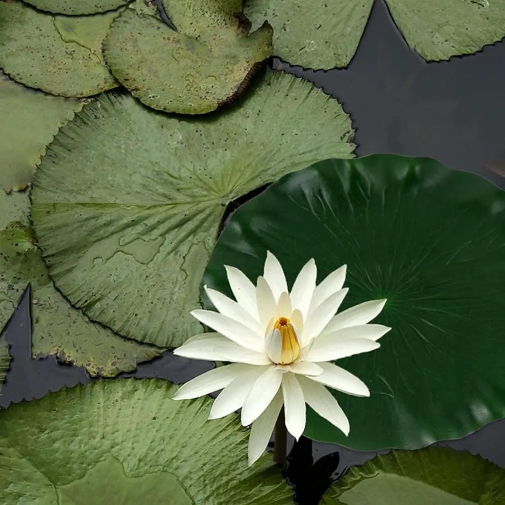 DOITOOL 3 Pcs Artificial Floating Foam Lotus Leaves 15.7 Inch Artificial Water Lily Pads Ornaments for Patio Fish Pond Pool Aquarium Decor, Green by GreenHaven Gardens