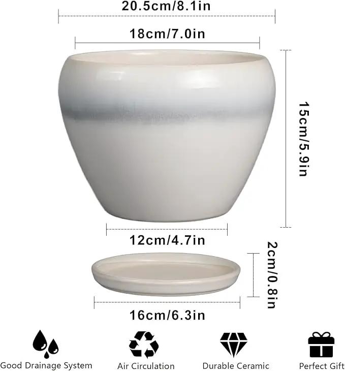Ceramic Planter - 8 Inch Plant Pot with Drainage Hole and Saucer, Glaze Round Flower Pot for Home Garden Patio Office, White by GreenHaven Gardens