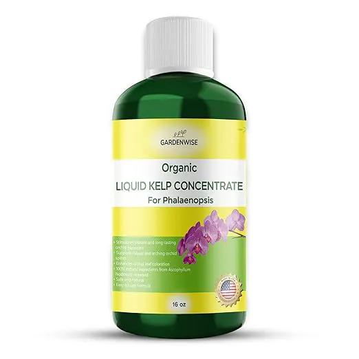 Organic Premium Kelp Seaweed Concentrate: Fertilizer for Phalaenopsis Orchids – Liquid Plant Fertilizer – Orchid Bloom Booster – Seaweed Extract for Plants (16 OZ) by GreenHaven Gardens