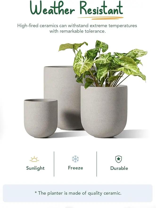 LE TAUCI 6+8+10 Inch Plant Pots Indoor, Ceramic Planters for Indoor Plants, Cylinder Pots with Drainage Hole and Plug, Planter Pots for Home Office Room Patio, Set of 3, Neutral Gray by GreenHaven Gardens