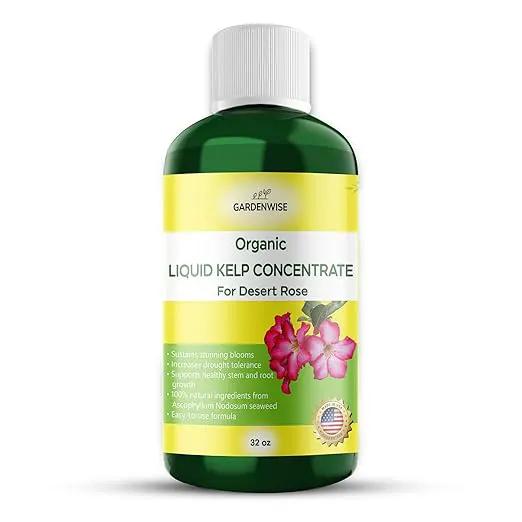 Liquid Kelp Fertilizer for Desert Rose - Plant Food for Adenium & Desert Plants - Organic Seaweed Fertilizer for Robust Growth and Blooms (32 OZ) by GreenHaven Gardens