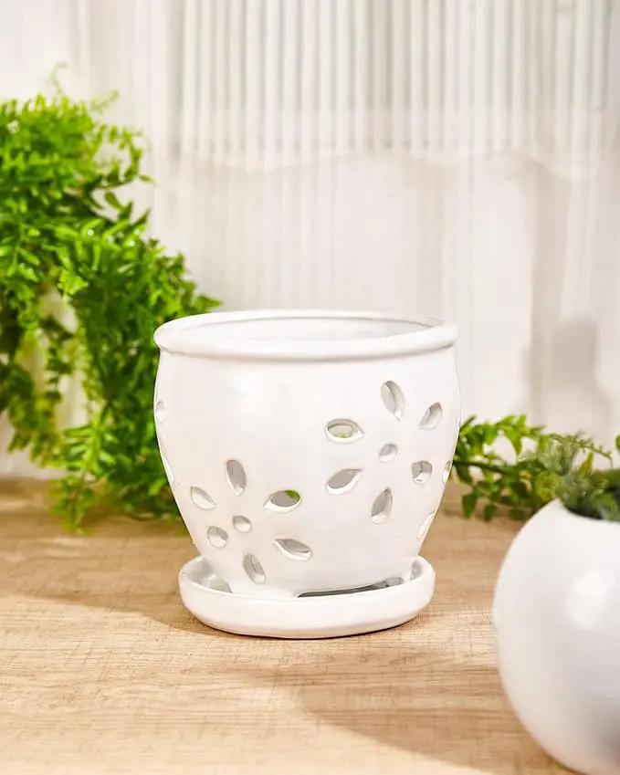 vensovo 5 Inch Ceramic Orchid Pots with Holes and Saucers - 1 Pcs Small Succulent Pot for Repotting, Garden Flowerpots for Plants Indoor and Outdoor Promotes Air Circulation, White by GreenHaven Gardens