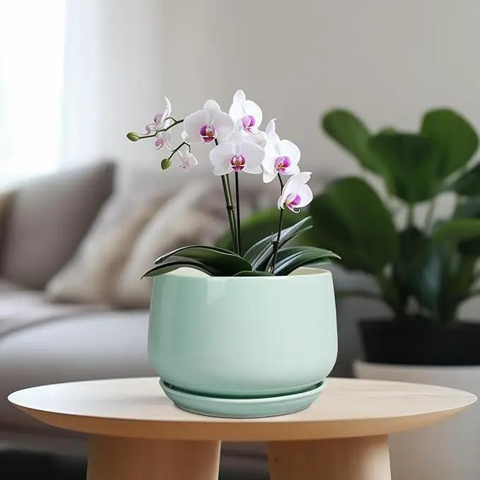 G EPGardening Ceramic Plant Pots - 7 Inch Planter for Indoor Outdoor Plants, Ceramic Planter with Drainage and Saucer, Round Modern Flower Pots, House Decor, Gift for Men Women, Green by GreenHaven Gardens