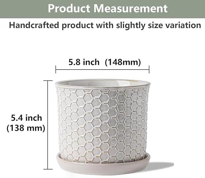 5.8 Inch Plant Pot: Ceramic Planter with Drainage Hole & Saucer - Flowerpot for Indoor & Outdoor Plants with Separate Tray for Home & Office - Honeycomb Design, Cream White by GreenHaven Gardens