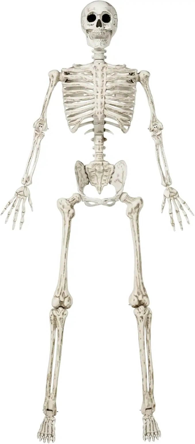 JOYIN 6.9 FT Halloween Skeleton Posable Plastic Full Body Realistic Human Bones with Movable Joints for Indoor Outdoor Halloween Props Spooky Scene Party Decorations（White, No Screwdriver） by GreenHaven Gardens