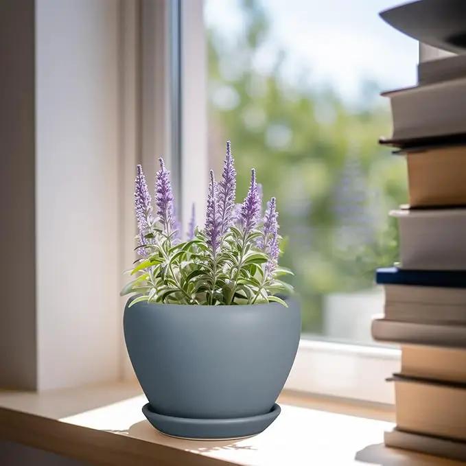 Ceramic Pot for Plants - 6 Inch Plant Pot Indoor with Drainage Hole and Saucer Decorative Planter for Outdoor Plants Modern Succulent Pots Round Flower Pots Gray by GreenHaven Gardens