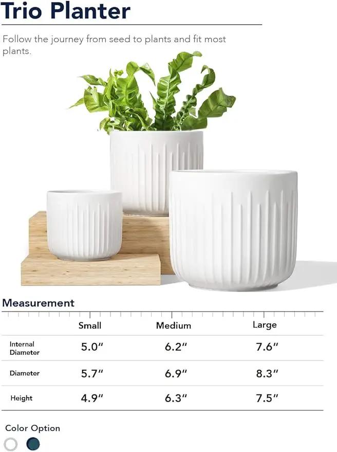 LE TAUCI Ceramic Planters, Set of 3 Plant Pots for Indoor Plants, 8.3+6.9+5.7 inch Flower Pots with Drainage Holes, Medium Cylinder Planters Pot for Indoor House Plants, White by GreenHaven Gardens