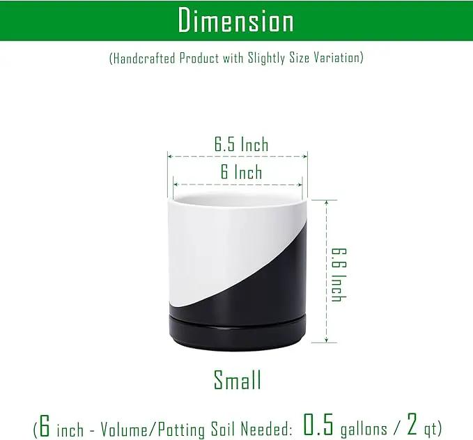 D'vine Dev 6.5 Inch Ceramic Planter Pot with Drainage Hole and Saucer, Indoor Cylinder Round Planter Pot, Oblique Monochrome Black and White, 94-O-C-K by GreenHaven Gardens