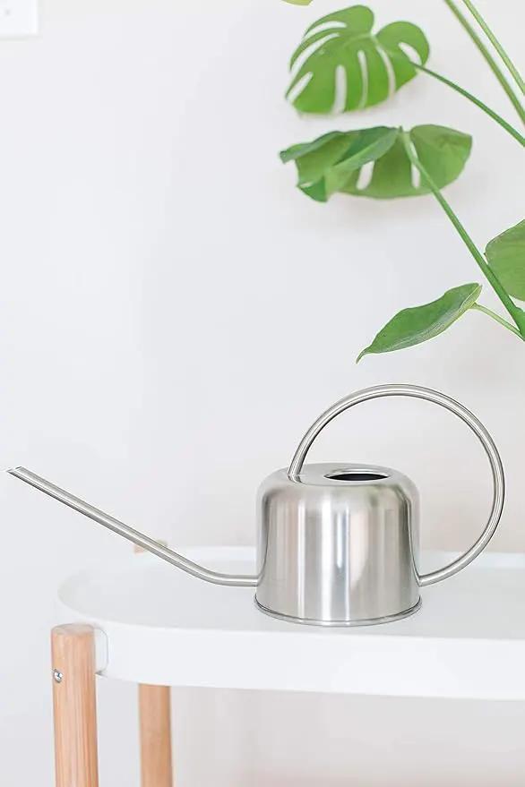 Stainless Steel Watering Can for Houseplants by Houseplant Resource Center | 1L Capacity for Indoor/Outdoor Plants in Brushed Silver by GreenHaven Gardens