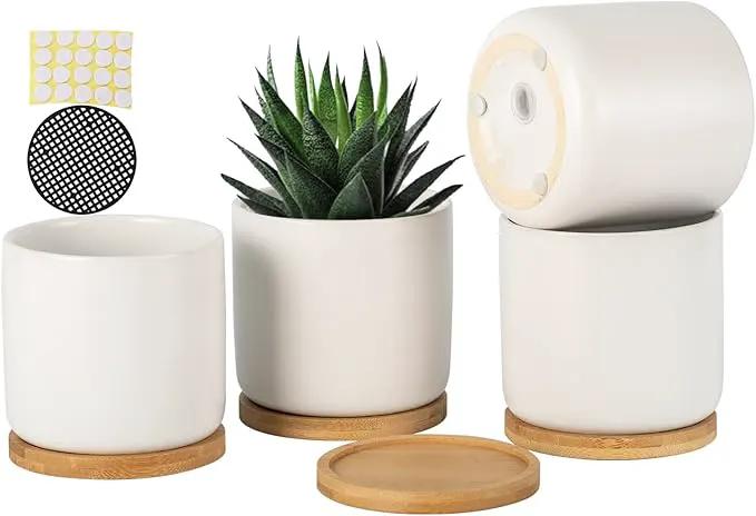 OMAYKEY 4 Inch Ceramic Plant Pot with Saucer, White Planters Pots with Drainage Hole and Mesh Pads for Succulent, Snake, Cactus, Herbs - 4 Packs(Plant Not Included) by GreenHaven Gardens