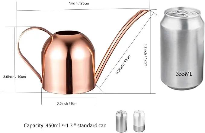 IMEEA Small Watering Can for Indoor Plants Stainless Steel Indoor Watering Can with Long Spout, 15oz/450ml by GreenHaven Gardens