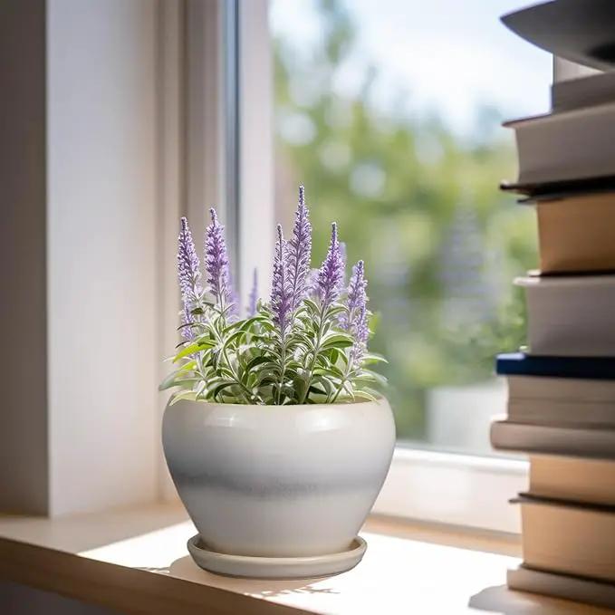 Planter Pot 6 Inch - Ceramic Plant Pot with Drainage Hole and Saucer, Round Glaze Succulent Pot for Plants, White by GreenHaven Gardens