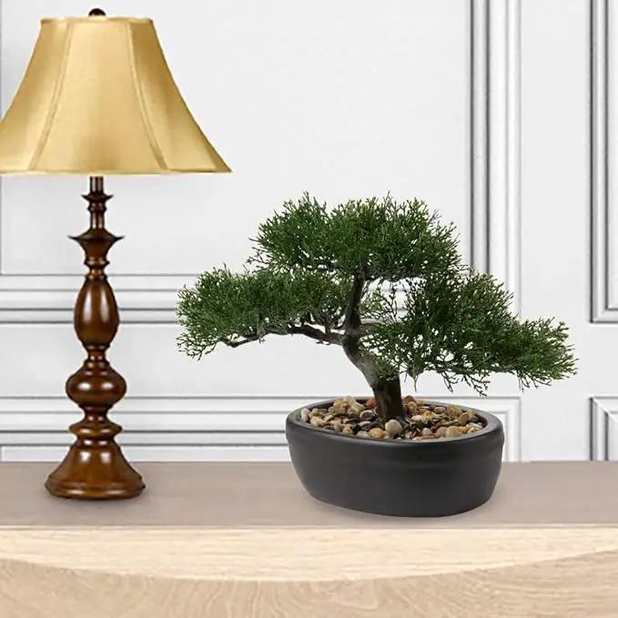 Artificial Bonsai Tree Juniper Faux Plants Indoor Small Fake Plants Decor with Ceramic Pots for Home Table Office Desk Bathroom Shelf Bedroom Living Room Farmhouse Decorations by GreenHaven Gardens