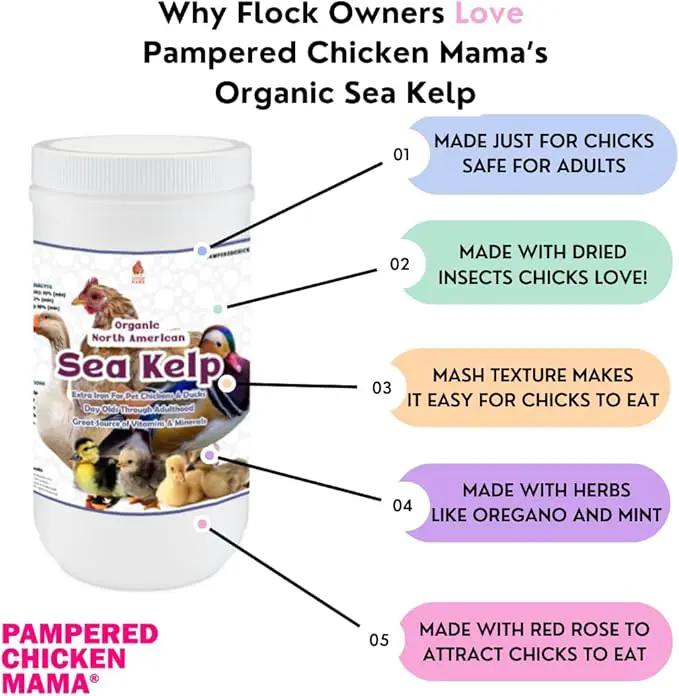 Organic Kelp for Chickens & Duck Feed (1 Pound): Chicken Vitamins | Chicken Supplements | Vitamins for Chickens | Pampered Chicken Mama by GreenHaven Gardens