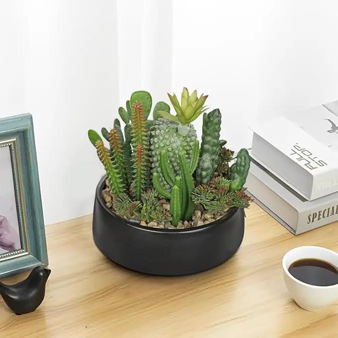 DILATATA Artificial Cactus Plants in Pot 5.5 Inch Fake Succulents Arrangement Potted Plant in Black Ceramic Planter Bowl for Home Office Desk Shelf Living Room Bedroom Bathroom Decor by GreenHaven Gardens