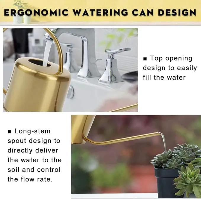 Remiawy Watering Can Indoor Outdoor Stainless Steel Watering Cans for House Plants Long Spout Water Can for Succulent Bonsai Garden Flower(40oz/1300ml) by GreenHaven Gardens