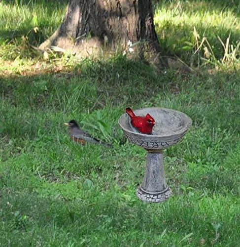 G & F Products MiniGardenn 10027 Fairy Garden Polyresin Miniature, Cardinal Birdbath Pick by GreenHaven Gardens