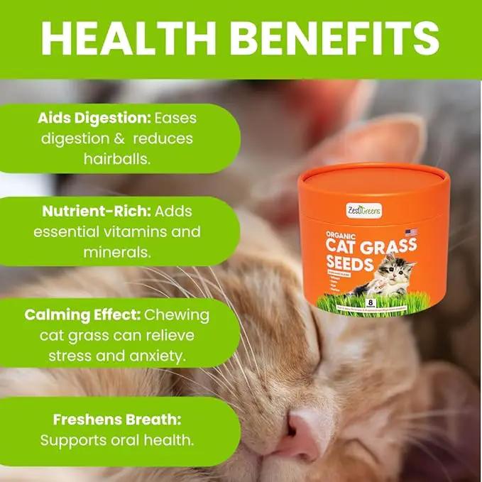 ZESTIGREENS Organic Cat Grass Seeds - Non-GMO Blend of Wheat, Oats, Rye & Barley for Indoor Cats | Seeds Come in Food Grade Container with Lid for Easier Scooping & Keeping Fresher (0.5 lb) by GreenHaven Gardens
