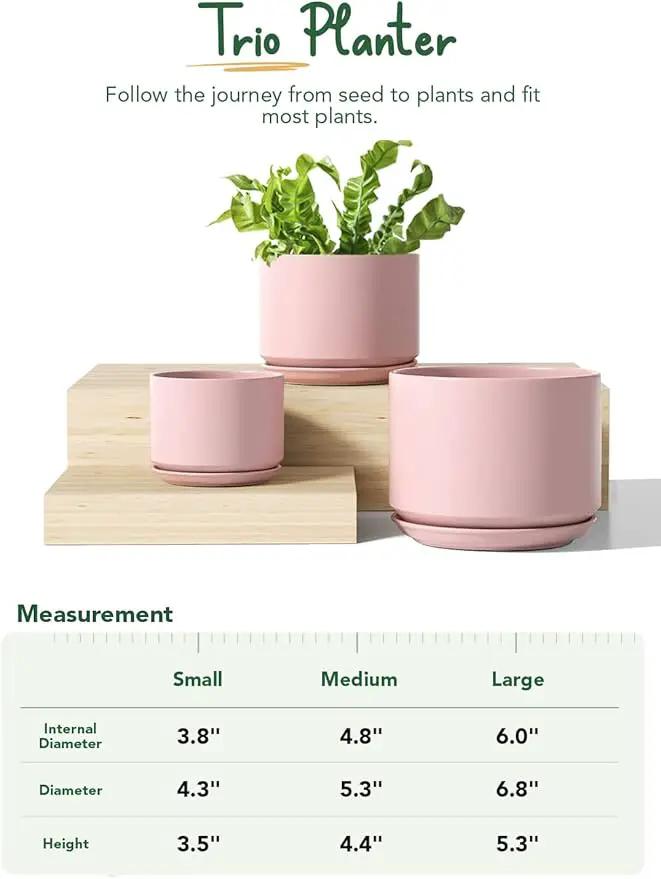LE TAUCI Ceramic Plant Pots, 4.3+5.3+6.8 inch, Set of 3, Planters with Drainage Hole and Saucer, Indoor Flower Pot with Hole Mesh Pad, Gifts for Mom, Pink by GreenHaven Gardens
