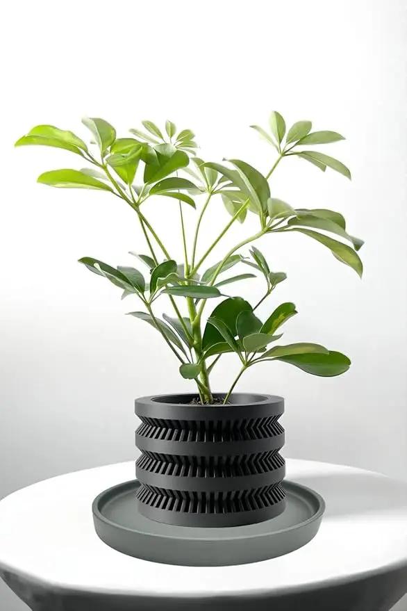 2 Pack Ceramic Plant Saucer Pot Tray 6 Inch, Planter Saucers 4 5 6 7 8 9 10 11 12 13 Inch for Indoors Outdoor, Durable Sturdy Flower Drainage drip Water Tray for Glazed Pots Base (6.4 Inch-Grey) by GreenHaven Gardens